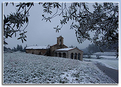 Sant Segimon del Bosc, Sant Feliu de Buixalleu